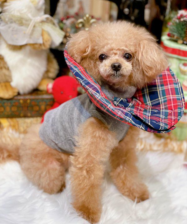 yorisoi』シリーズ - AS KNOW AS | アズノゥアズ