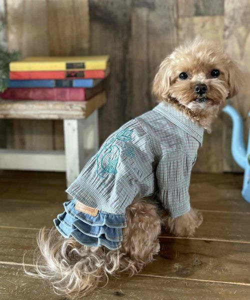 トップス | アズノゥアズ レディース服のファッション通販サイト