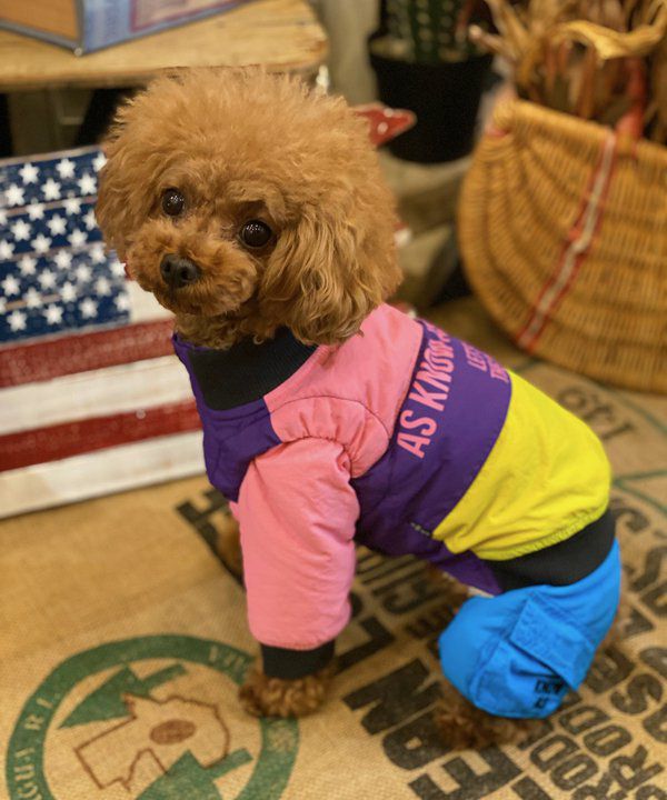 N撥水スノーFUNPT | AS KNOW AS オンラインショップ N撥水スノーFUNPT | AS KNOW AS オンラインショップ