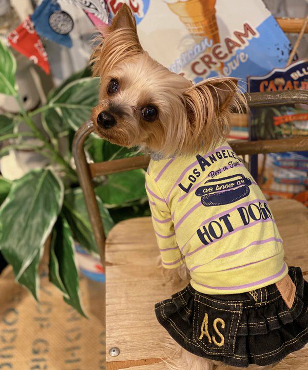 NLAホットドッグロンT | AS KNOW AS オンラインショップ