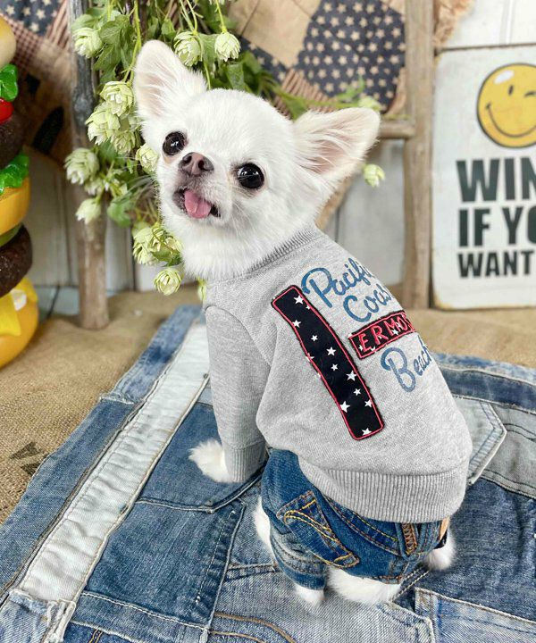 プルオーバー | アズノゥアズ レディース服のファッション通販サイト