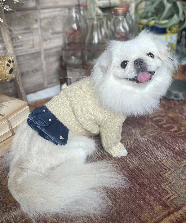 レオパード柄サロペPT | AS KNOW AS オンラインショップ