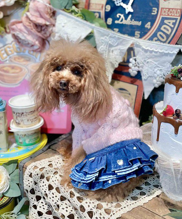 プルオーバー | アズノゥアズ レディース服のファッション通販サイト