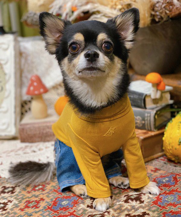 NアンニュイホットTT | AS KNOW AS オンラインショップ