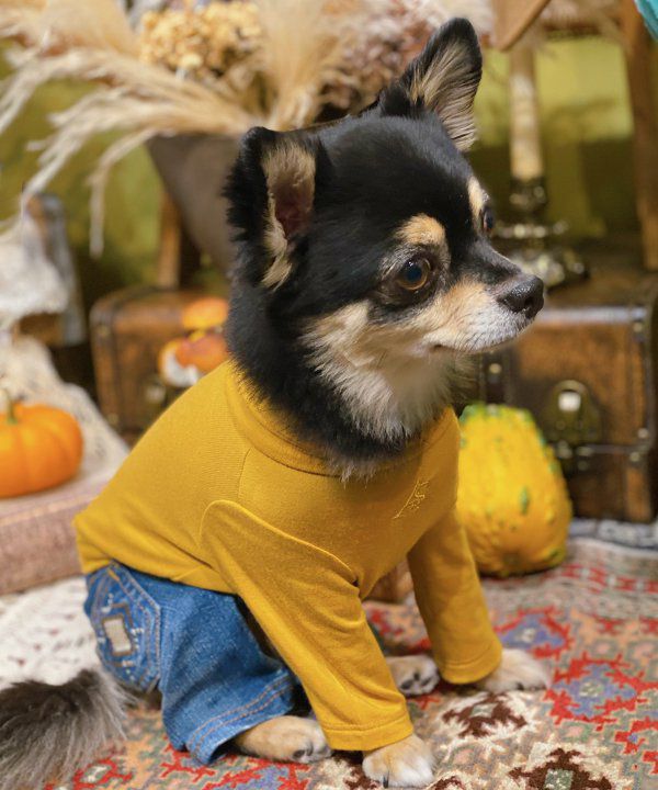 NアンニュイホットTT | AS KNOW AS オンラインショップ