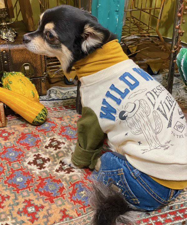 NアンニュイホットTT | AS KNOW AS オンラインショップ