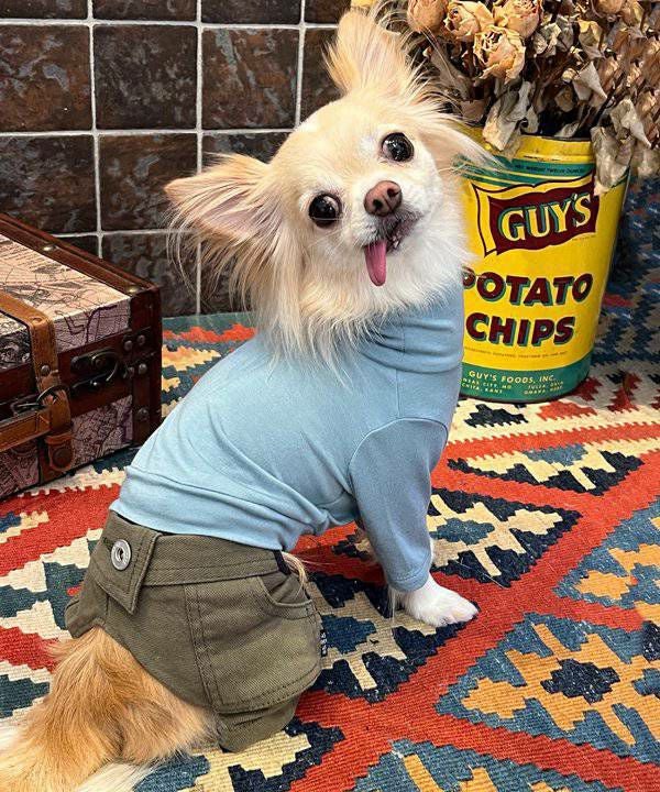 NアンニュイホットTT | AS KNOW AS オンラインショップ