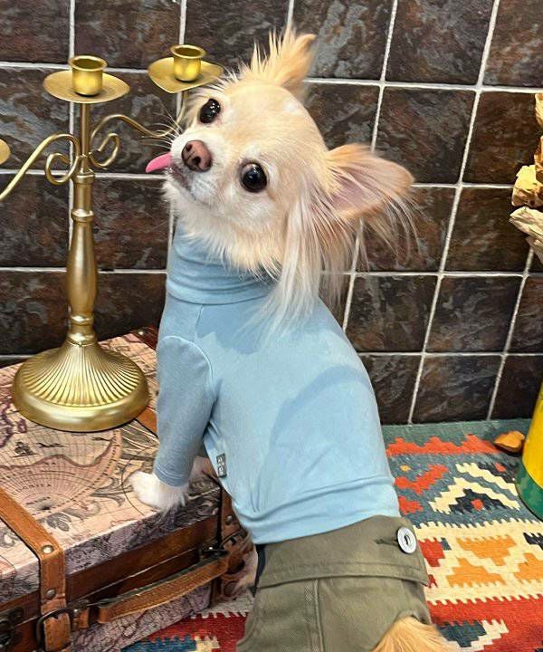 NアンニュイホットTT | AS KNOW AS オンラインショップ