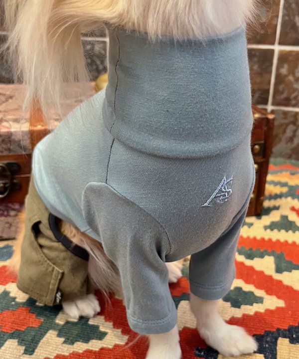 NアンニュイホットTT | AS KNOW AS オンラインショップ