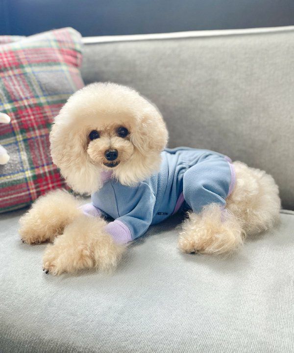 Happyロンパース | AS KNOW AS オンラインショップ