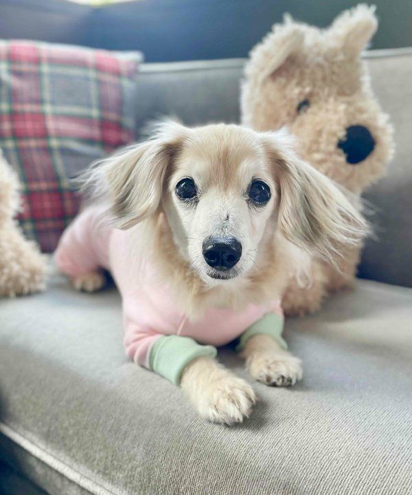 Happyロンパース | AS KNOW AS オンラインショップ