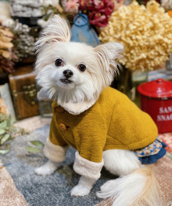 レオパード柄サロペSK | AS KNOW AS オンラインショップ