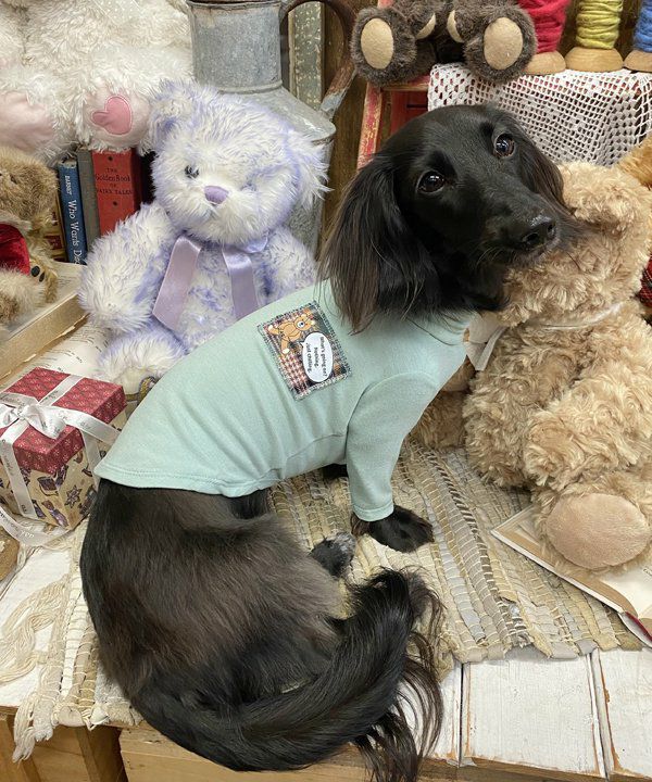 プルオーバー | アズノゥアズ レディース服のファッション通販サイト