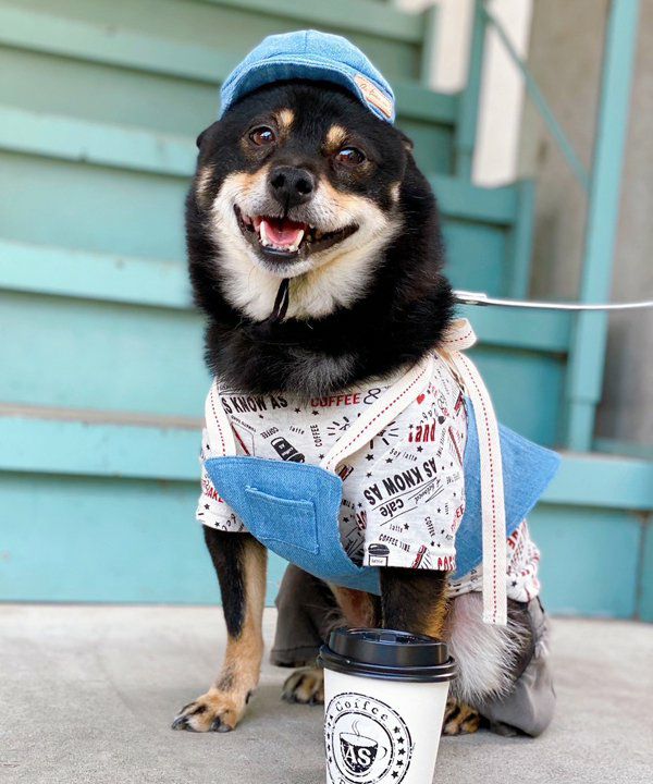 その他グッズ | アズノゥアズ レディース服のファッション通販サイト