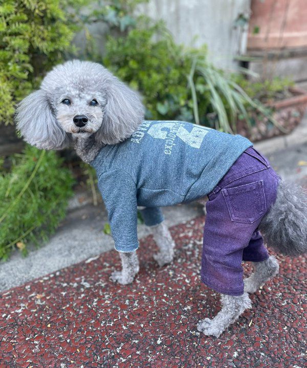 NonアンドonPO | AS KNOW AS オンラインショップ