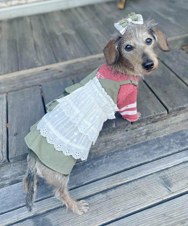 デワン | 愛犬とママ パパのお揃いコーデも取り扱う犬服通販サイト