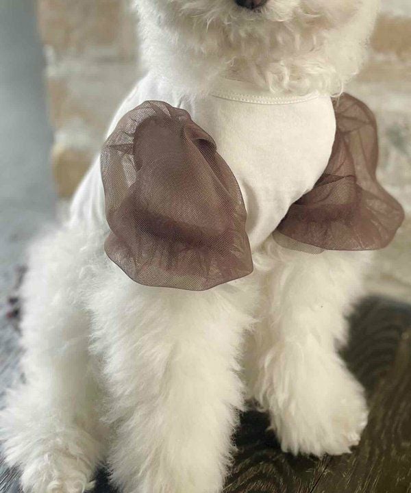 Nくまっチュチュ☆T | AS KNOW AS オンラインショップ