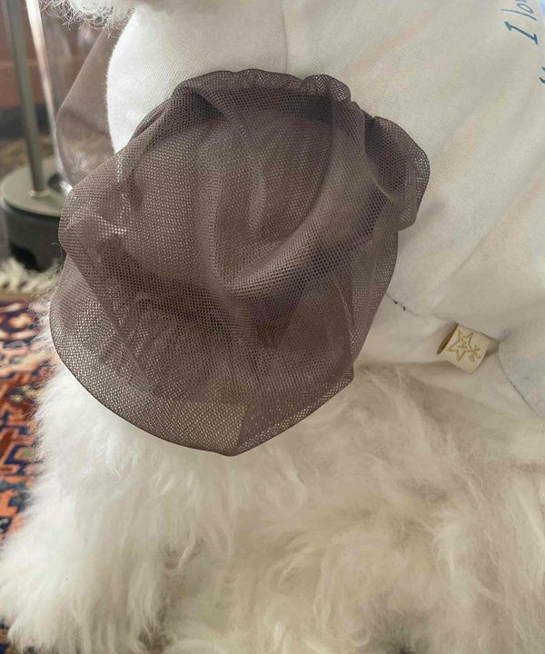 Nくまっチュチュ☆T | AS KNOW AS オンラインショップ