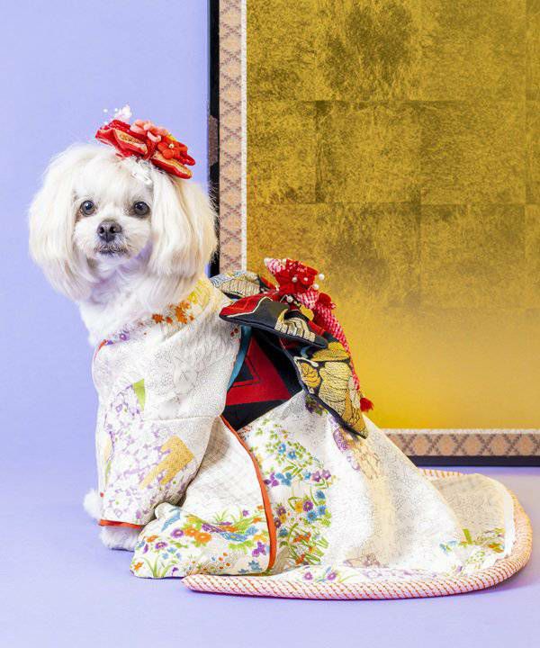 着物・和装小物 | アズノゥアズ レディース服のファッション通販サイト