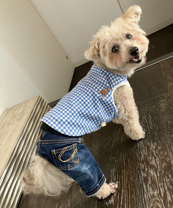 Ask how asデニムとカーキのセット 小型犬用 NBasicメッシュKM | AS KNOW AS オンラインショップ