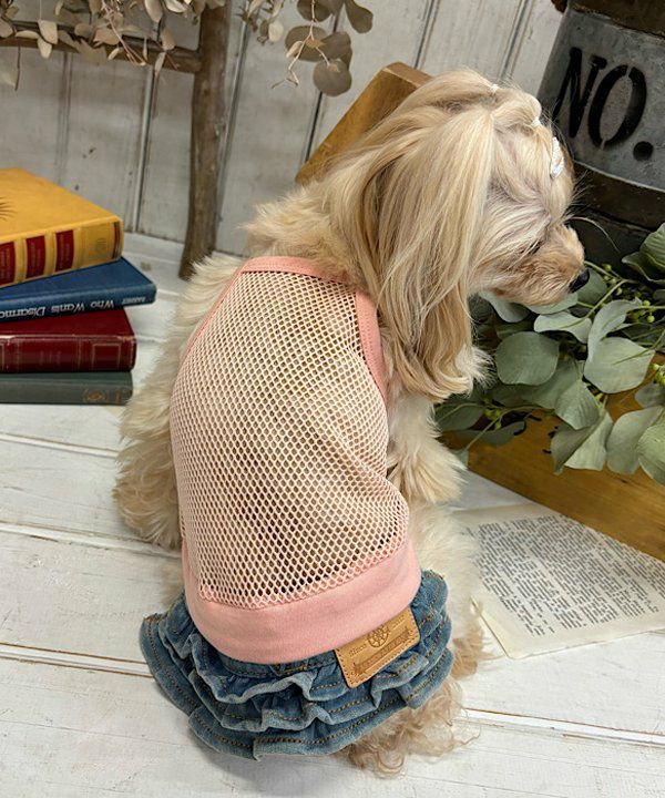 アズノゥアズデワン ワンちゃん | アズノゥアズ レディース服のファッション通販サイト