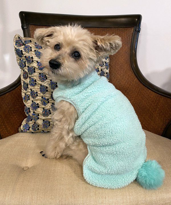 yorisoi』シリーズ - AS KNOW AS | アズノゥアズ