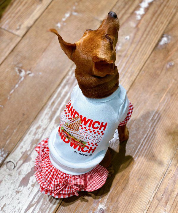 Nくまっチュチュ☆T | AS KNOW AS オンラインショップ