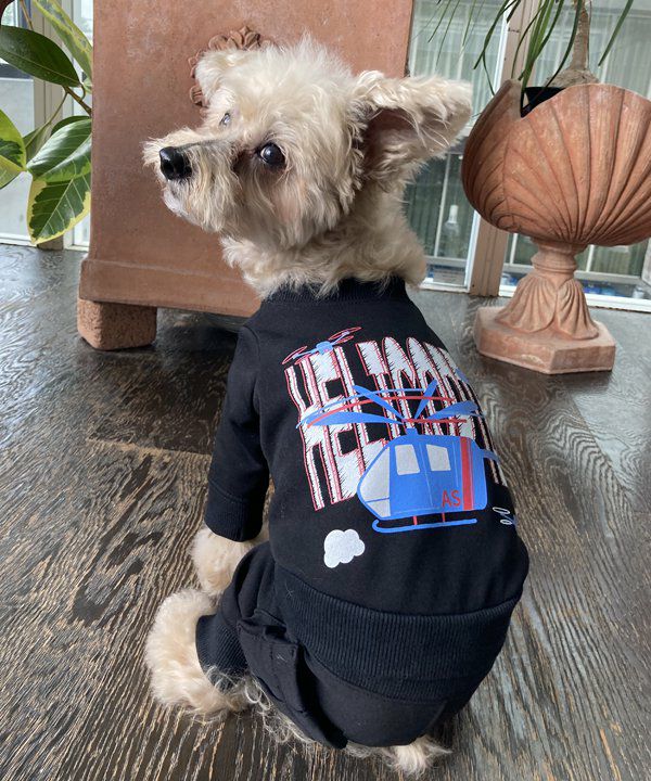 プルオーバー | アズノゥアズ レディース服のファッション通販サイト