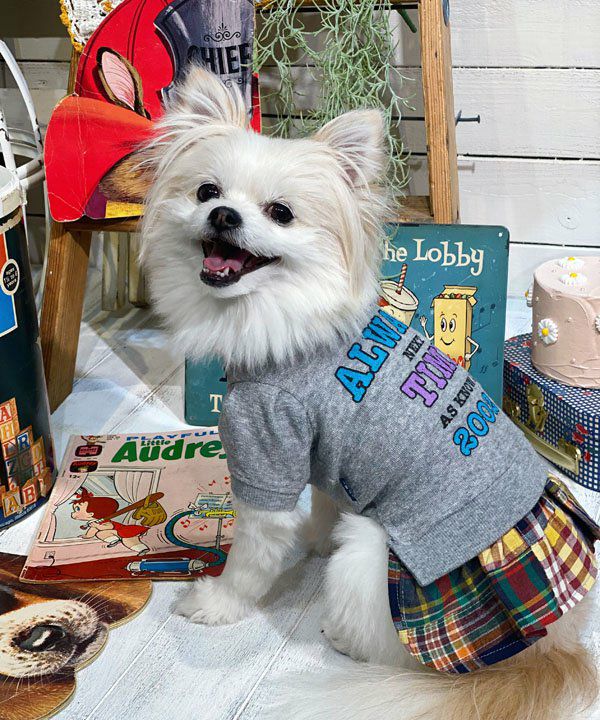 デワン | 愛犬とママ パパのお揃いコーデも取り扱う犬服通販サイト