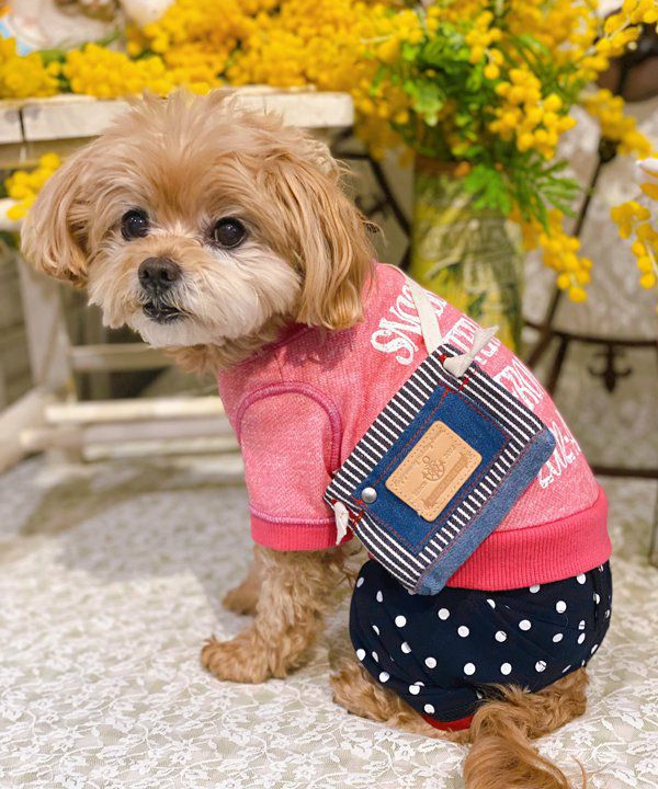 Nくまっチュチュ☆T | AS KNOW AS オンラインショップ