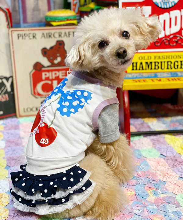 Happyロンパース | AS KNOW AS オンラインショップ