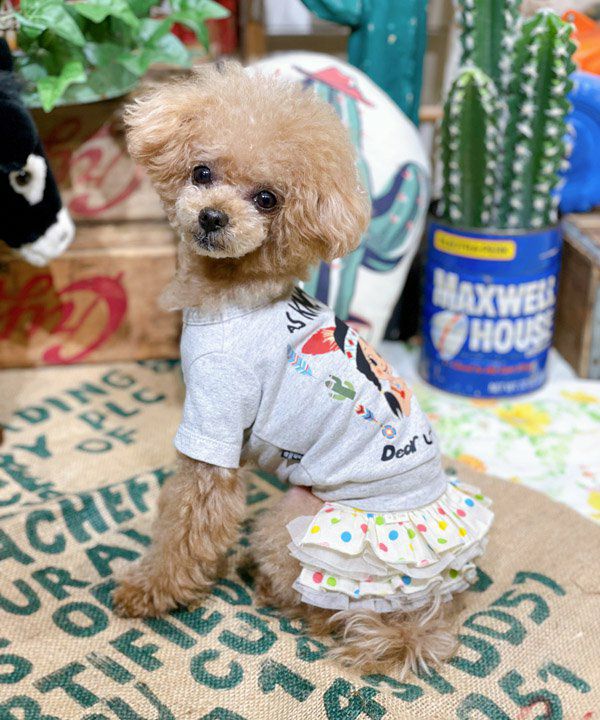 Nくまっチュチュ☆T | AS KNOW AS オンラインショップ