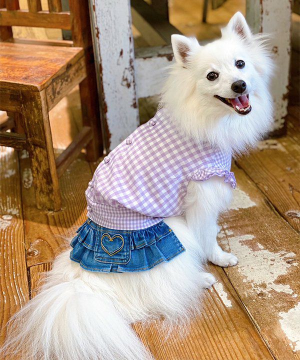 NギンガムキャンディBL | AS KNOW AS オンラインショップ