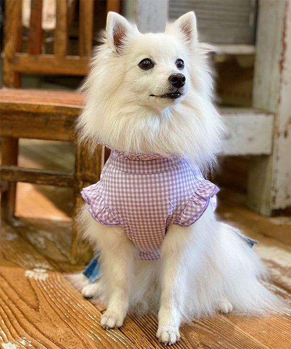 NギンガムキャンディBL | AS KNOW AS オンラインショップ