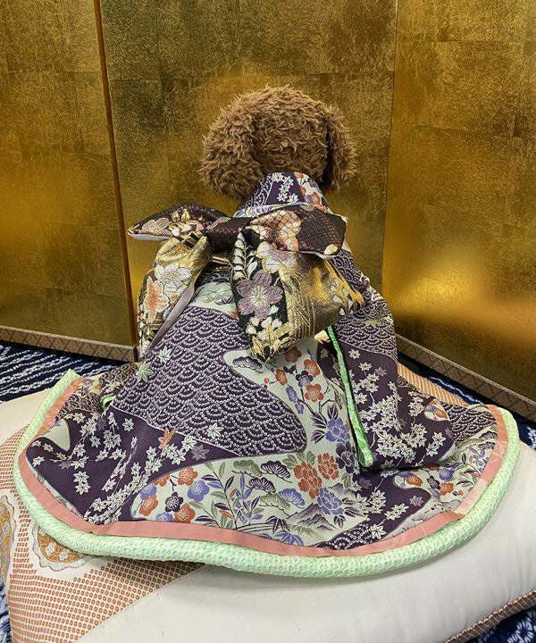 Nくまっチュチュ☆T | AS KNOW AS オンラインショップ