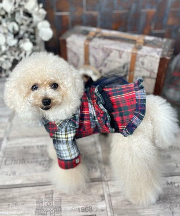 犬服・アクセサリー Chika バリスタ☆CHKOP | AS KNOW AS オンラインショップ