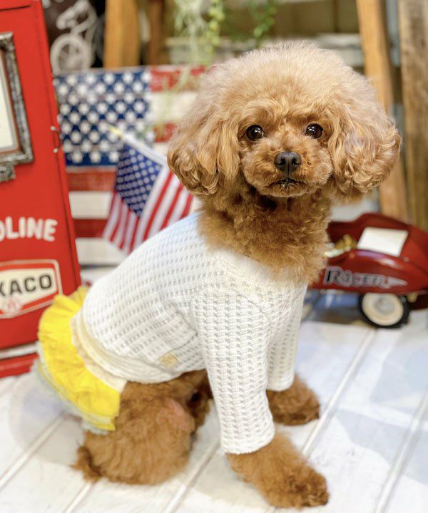 Nくまっチュチュ☆T | AS KNOW AS オンラインショップ