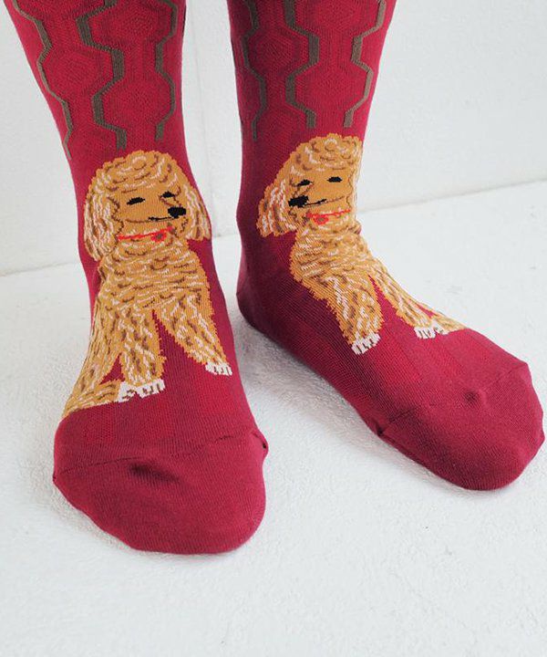 ハイゲージクルーソックス | AS KNOW AS オンラインショップ