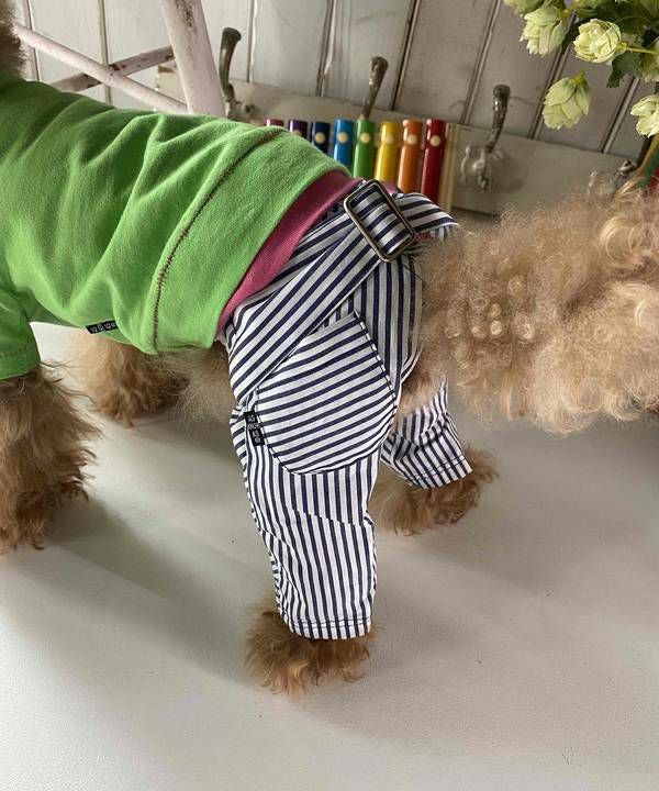 NベルトリボンストラPT | AS KNOW AS オンラインショップ