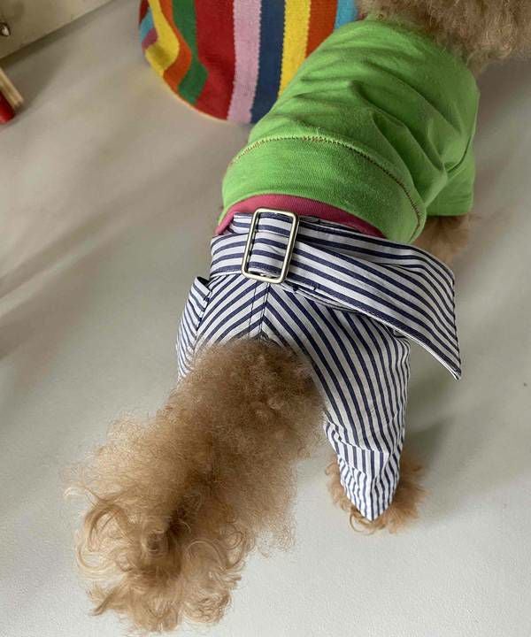 NベルトリボンストラPT | AS KNOW AS オンラインショップ