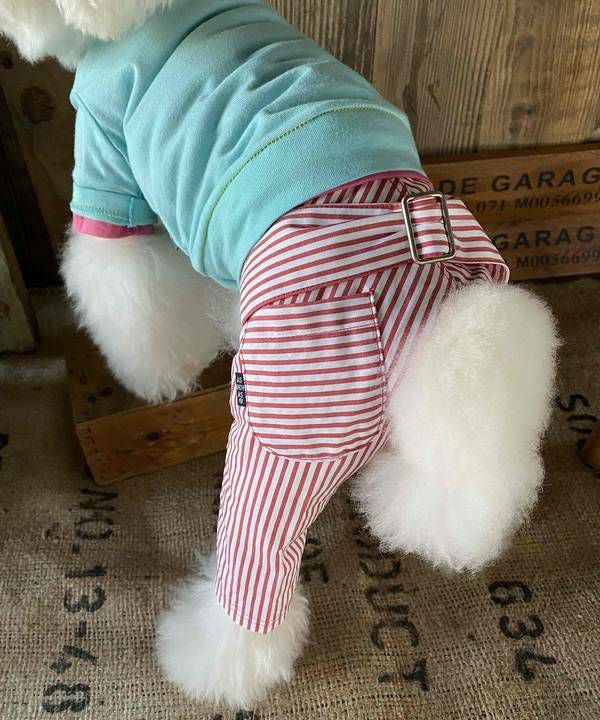 NベルトリボンストラPT | AS KNOW AS オンラインショップ