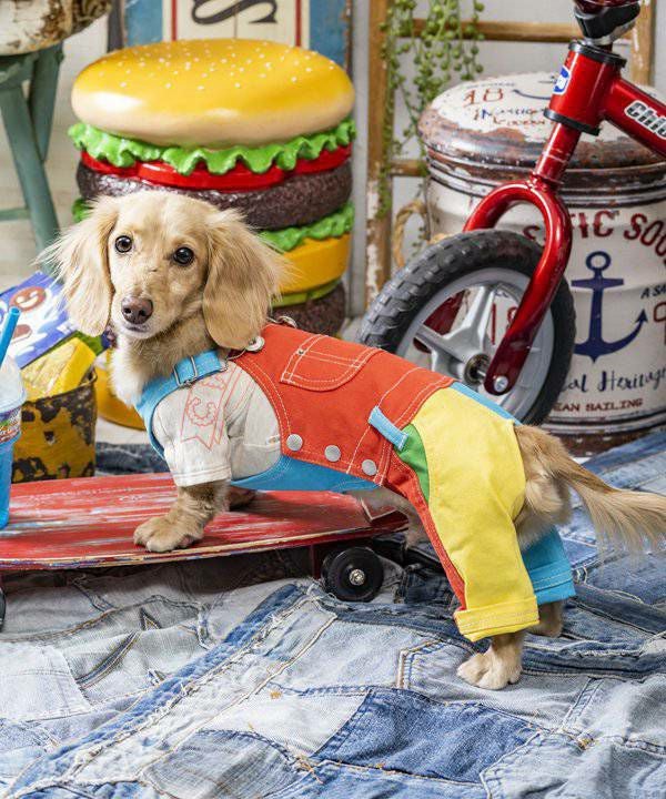 シャーリングスリングL | AS KNOW AS オンラインショップ