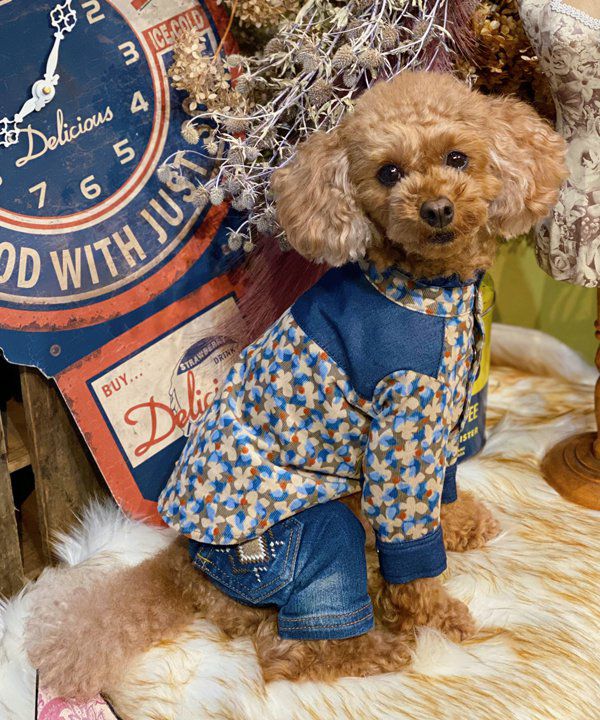 No.31 ハンドメイド犬服 フリル付きハイネックカットソー No.31 ハンドメイド犬服 フリル付きハイネックカットソー 楽天市場