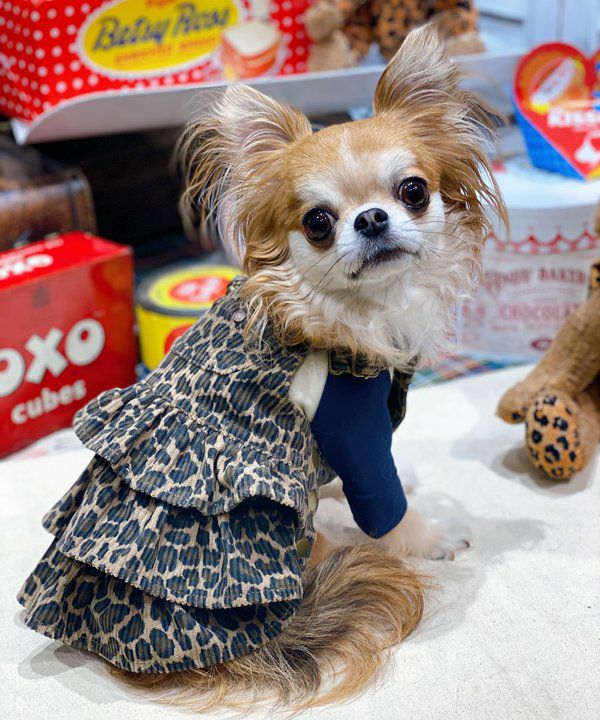 NアンニュイホットTT | AS KNOW AS オンラインショップ