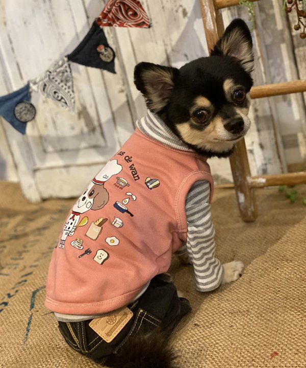 yorisoi』シリーズ - AS KNOW AS | アズノゥアズ