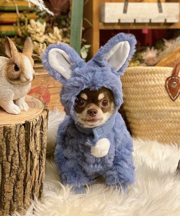 ふわふわうさぎロンパース | AS KNOW AS オンラインショップ