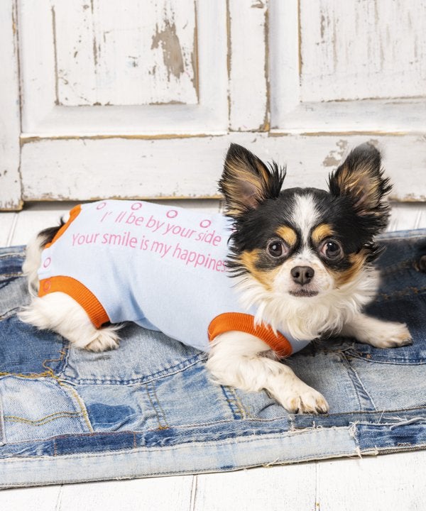 N立体で安心マナーベルト | AS KNOW AS オンラインショップ