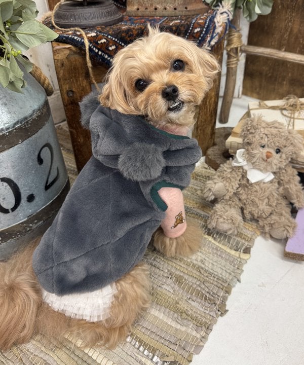 チャコールケイ