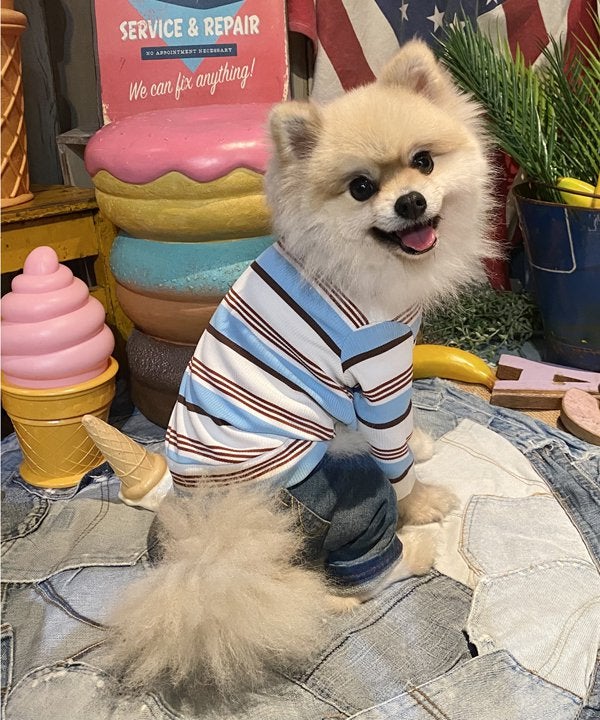 デワン | 愛犬とママ パパのお揃いコーデも取り扱う犬服通販サイト