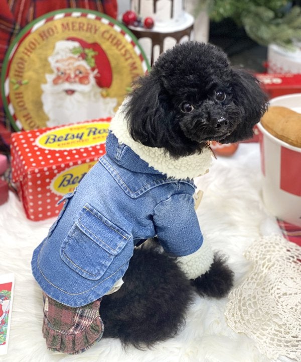 デニムボアダッフルコート | AS KNOW AS オンラインショップ